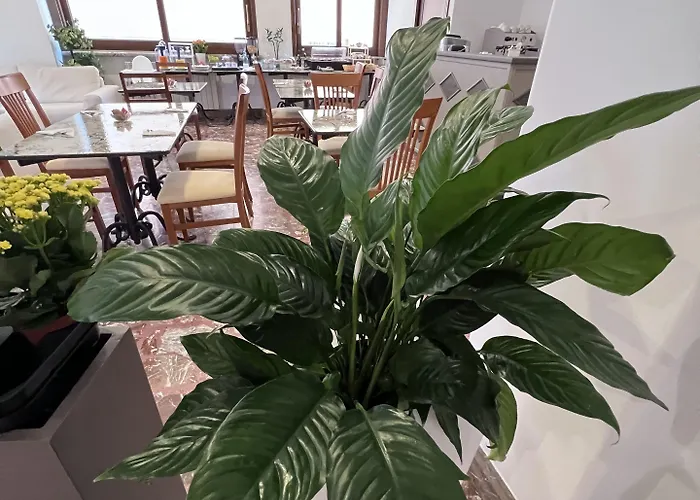 Chiara Hotel Taormina